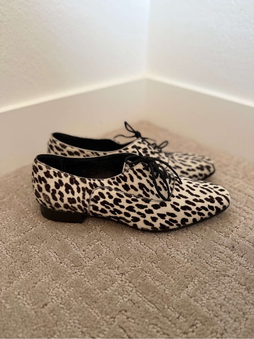 Saint Laurent Pony hair leopard Oxfords - Black and Cream - Picture 6 of 9
